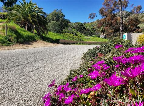 Photo Tour - Catalina Golf Cart Rentals