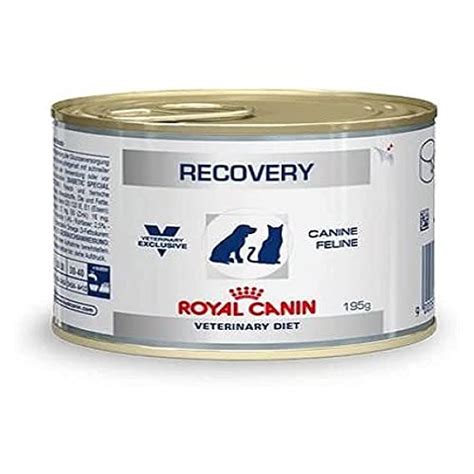 RC RECOVERY LIQUID CAN 195GM - Pets Friend