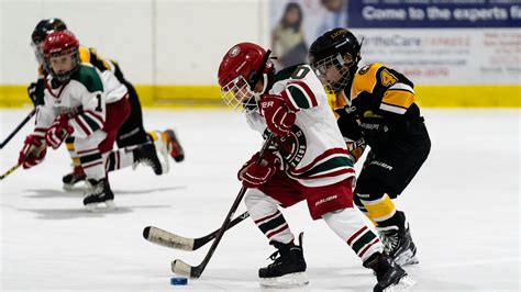 Hockey 的图像结果