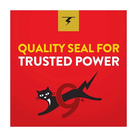 Buy Eveready Gold Alkaline AA Batteries, 8 pk from Dollar General - Instore