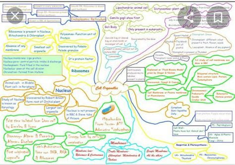 Draw a mind map show cell components, Cell organelles its discoveries ...