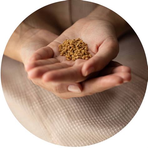 Fenugreek Oil Capsules | Ayurvedic Capsules – AYURVRIDHI