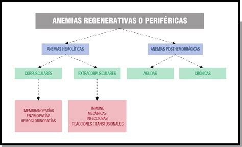 O Que Sao Anemias Hemoliticas