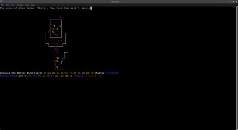 Image result for Playing NetHack