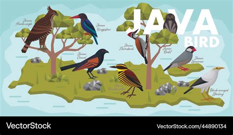 Image result for Java Birai