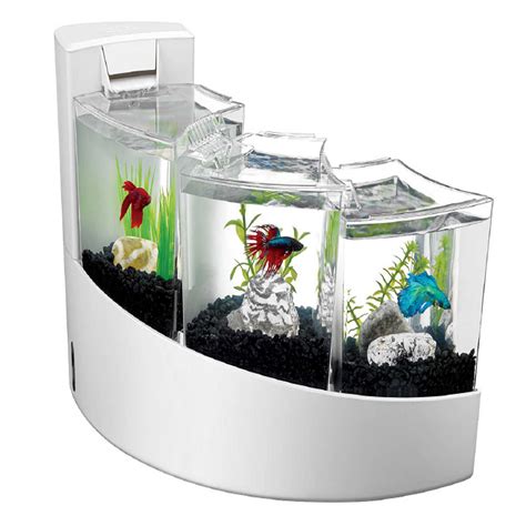 Betta Fish Tanks At Petco - Benia Aquarium Fish