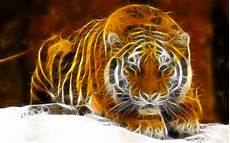 Digital Tiger Wallpaper by Windows 7 Digital Tiger Hd Wallpaper Background Image Digital Tiger Wallpaper