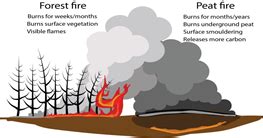 Zombie fires’ discovered in Arctic as climate change introduces new ...