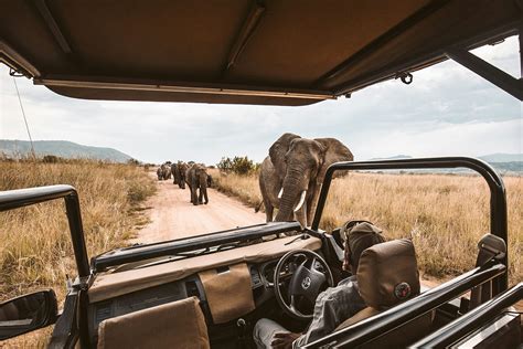 Safaris and excursions in Zanzibar | Blackstone Beach Resort
