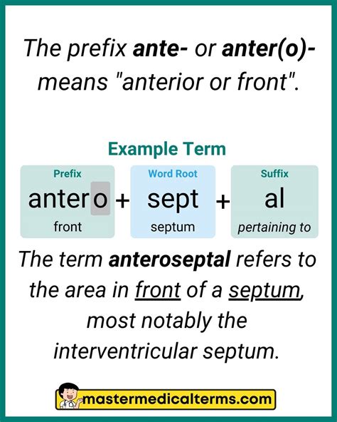 Medical Prefixes that Describe the Position or Direction - Master ...