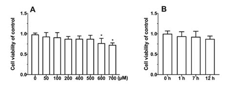 Protective Effects of Several Common Amino Acids, Vitamins, Organic ...