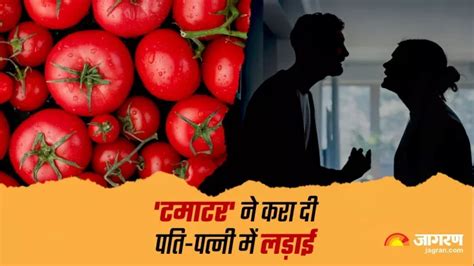 Tomato: 'शपथ लेता हूं, सब्जी में टमाटर बिना पूछे नहीं डालूंगा', एमपी ...