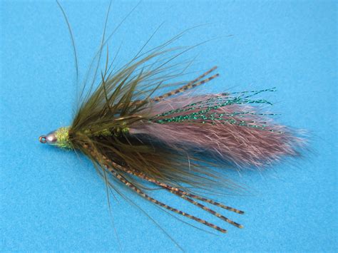 Image result for Master Splinter Fly