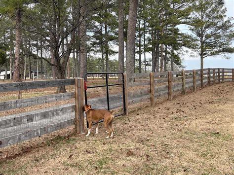 Leesburg, Alabama Fully Fenced Dog Parks for Rent | Sniffspot