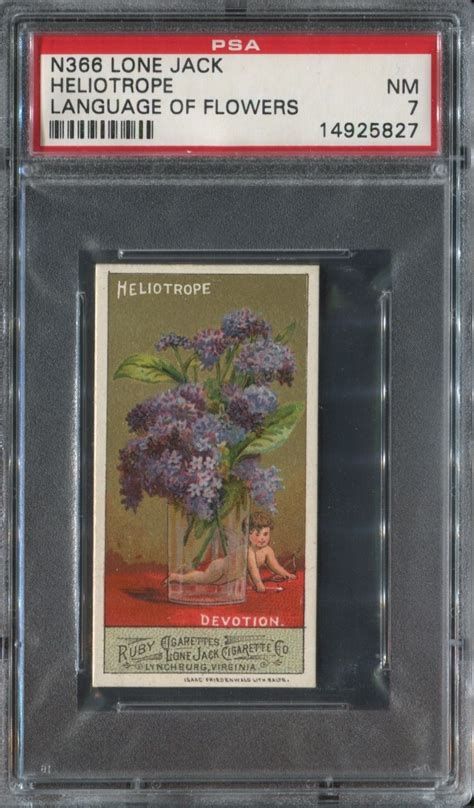 Lot Detail - N366 Lone Jack Language of Flowers Heliotrope PSA7 NM