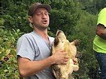 Image result for Man Getting Bit by Snapping Turtle