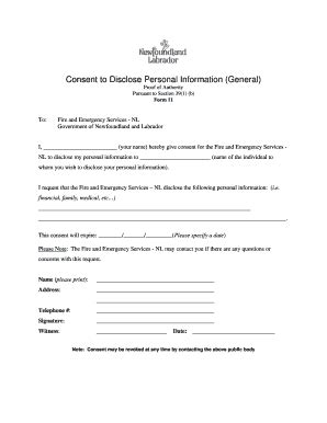 Fillable Online knightfoundationmi COMMON REPORT FORM FORMAT ...