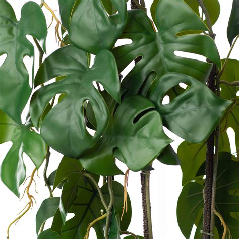 Green Split Leaf Monstera Faux House Plant Arrangement In Black Drop I ...