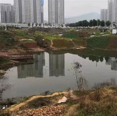 2023城门水塘游玩攻略,周末选择了香港城门水塘这条...【去哪儿攻略】
