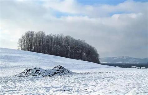 散文你们那里下雪了吗，梦到下雪了是什么意思周公解梦 - 言韩号-为创作者服务！