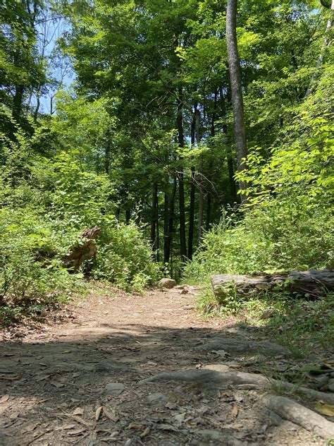 AFW Hike: Wawayanda State Park, NJ on Sun 7/23/2023 | Adventures For Women