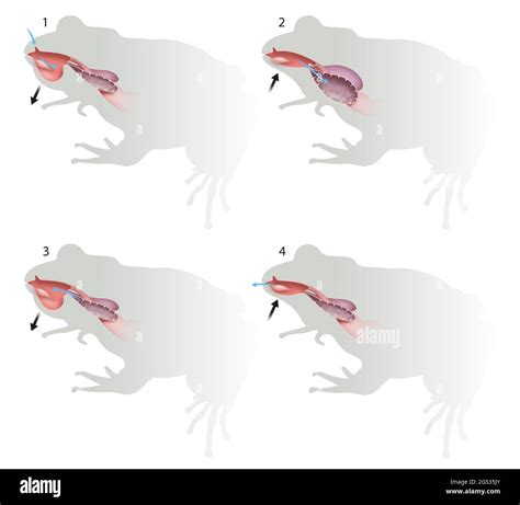 Image result for Alien Spec EVO