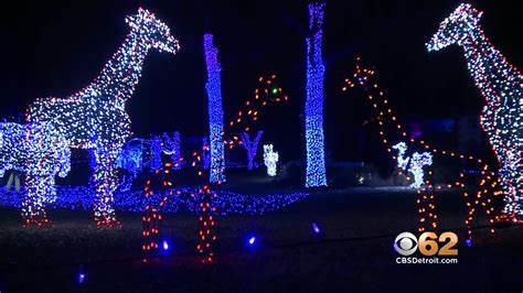 Detroit Zoo "Wild Lights" - CBS Detroit