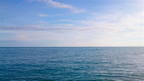 Meaning, Origin And History Of The Name Mariana - frankiepeach.com