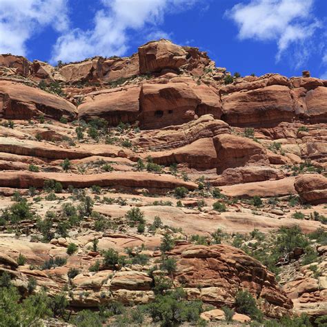 CEDAR MESA (2026) All You Need to Know BEFORE You Go (with Photos ...
