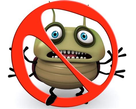 Fix HTML CSS JavaScript 的图像结果