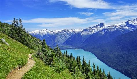 Image result for Native Script Examples