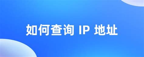 如何查询 IP 地址 • Worktile社区