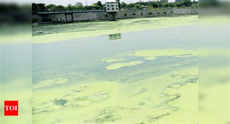 Ahmedabad civic body issues call to clean Sabarmati | Ahmedabad News ...