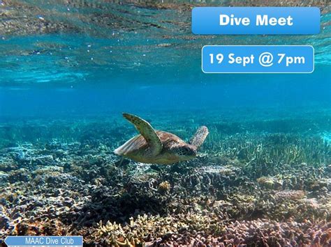Dive Meet 19 Sept 2024 @ 7pm Boatshed, MAAC Marmion Angling & Aquatic ...