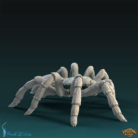 Congolese Giant Spider