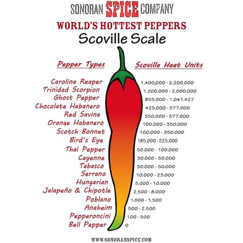 Serrano Pepper On Scoville Scale - ReumVegetable