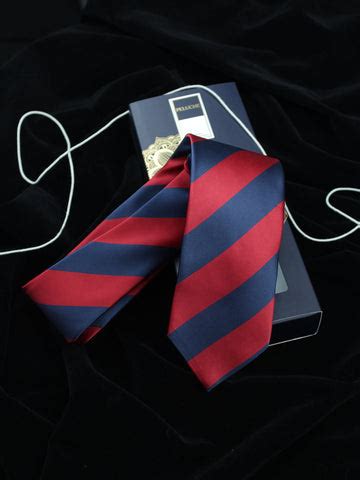 Buy Neckties for Men Online in India | Peluche.in