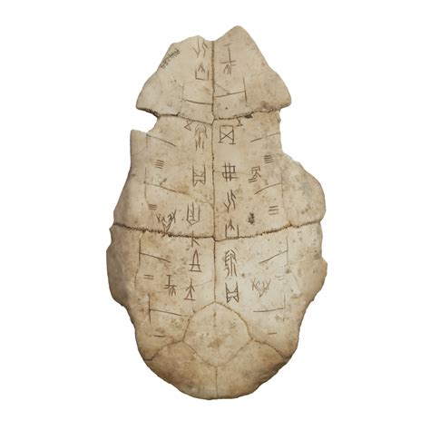 Oracle bone, oracle bone script, and turtle shell 3D model download,3D ...