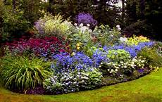 fiori di giardino giardino frammenti d onda fiori di giardino giardino frammenti d onda