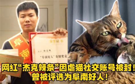 大学生虐猫被曝光后：虐猫群微博引流，有人称“最想虐婴儿”