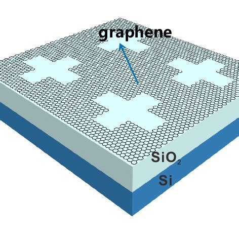 Image result for Complementarity of Structure and Function