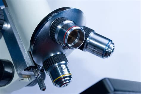 Image result for Objectives Microscope Function