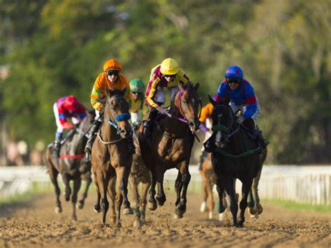 Ooty Racecourse | Adventure Spots In Ooty | TimesTravel