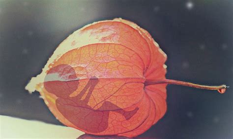 India's Abortion Law: Progressive On Paper, Hesitant In Practice