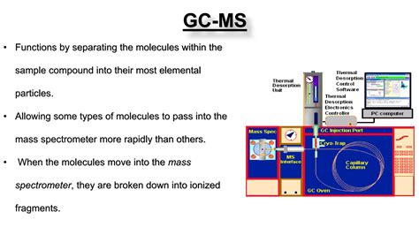 Forensic Science Using GC/MS 的图像结果