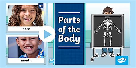 Body Parts PowerPoint | Twinkl Primary Resources