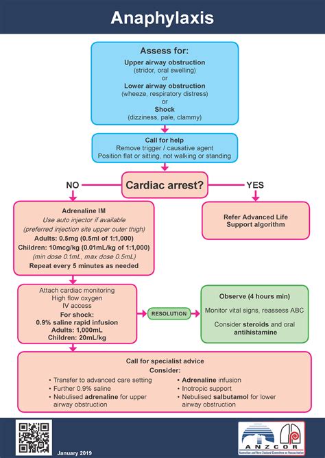 Epinephrine Shock Dose at Chelsea Elyard blog