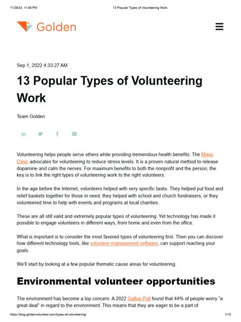 Volunteering Work Examples 的图像结果