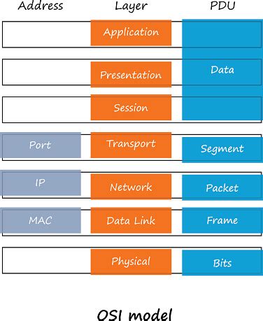OSI Model 的图像结果