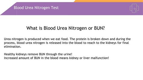 PPT - Overview of Blood Urea Nitrogen (BUN) Test PowerPoint Presentation - ID:8054521